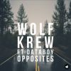 Download track Opposites (Wolf Krew Remix)
