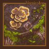 Download track Versicolor