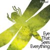 Download track Eye That Sees Everything