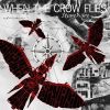 Download track When The Crow Flies