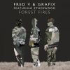 Download track Forest Fires (Taiki Nulight Remix)