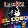 Download track La Cobra