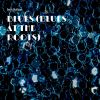 Download track Blues (Blues At The Roots)