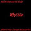 Download track Why Not Sped Up