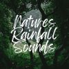 Download track Nature Rain, Pt. 7