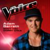 Download track Don'T You Worry Child (The Voice 2013 Performance)