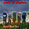 Download track World Of Wonders