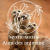 Download track Marais De Nuit