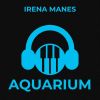 Download track Aquarium (Radio Edit)