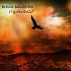 Download track Birds In Flight (By Ken Erickson)