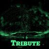 Download track Tribute (Live)