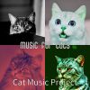 Download track Lovely Jazz Guitar Trio - Vibe For Training Your Cat