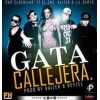 Download track Gata Callejera