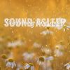 Download track Pure Evening Rain Sounds, Pt. 9