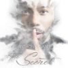 Download track The Secret