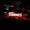 Download track Terminate (Original Mix)