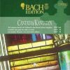 Download track Ich Elender Mensch, Wer Wird Mich Erlössen BWV 48 - VI Aria (Tenore)