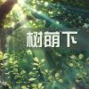 Download track 翻身上马