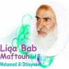 Download track Liqa Bab Maftouh, Pt. 11