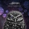 Download track Night Owls And Lovebirds (Original Mix)