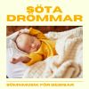 Download track Fridfull Vallmos Dröm