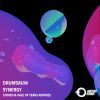 Download track Synergy (Original Mix)