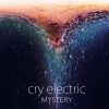 Download track Mystery