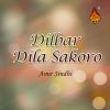 Download track Dilbar Dila Sakoro