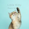 Download track Little Kitty