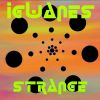 Download track (Dub - Electro - Psyché) Lord Of Strange