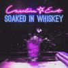 Download track Soaked In Whiskey