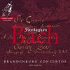 Download track Brandeburg Concerto No. 1 In F Major, BWV 1046: IV. Menuet - Trio I - Menuet Da Capo - Polacca - Menuet Da Capo - Trio II - Menuet Da Capo