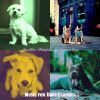 Download track Excellent Jazz Guitar Trio - Vibe For Cute Puppies