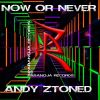 Download track Now Or Never (Radio Edit)