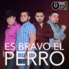 Download track Es Bravo El Perro