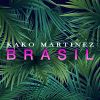 Download track Brasil (Radio Version)