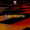 Download track Labyrinth