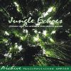 Download track Jungle Drum Variations