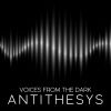 Download track Voices From The Dark