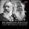 Download track 3. Brahms: Symphony No. 1 - III. Un Poco Allegretto E Grazioso