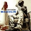 Download track Masculin (Sensual Duality)