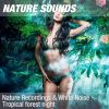 Download track Nature Sounds For Studying, Working & Concentration (Magical Jungle Night) 10