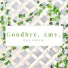 Download track Goodbye Amy