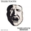 Download track Tiger Asylum (Klienfeld Remix)