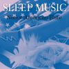 Download track Sleep Music - Native American