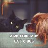 Download track Cat And Dog