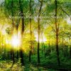 Download track Melodious Forest Birdsong Sounds, Pt. 8