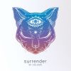 Download track Surrender