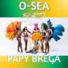 Download track Papy Brega (Radio Edit Mix)