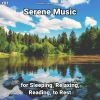 Download track Serene Music, Pt. 8